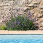 La piscine des gîtes et chambres d'hôtes du Mas Pellier Barjac Ardèche Cévennes Provence