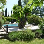 Pool Mas Pellier Ardèche Cévennes Provence Barjac Gard